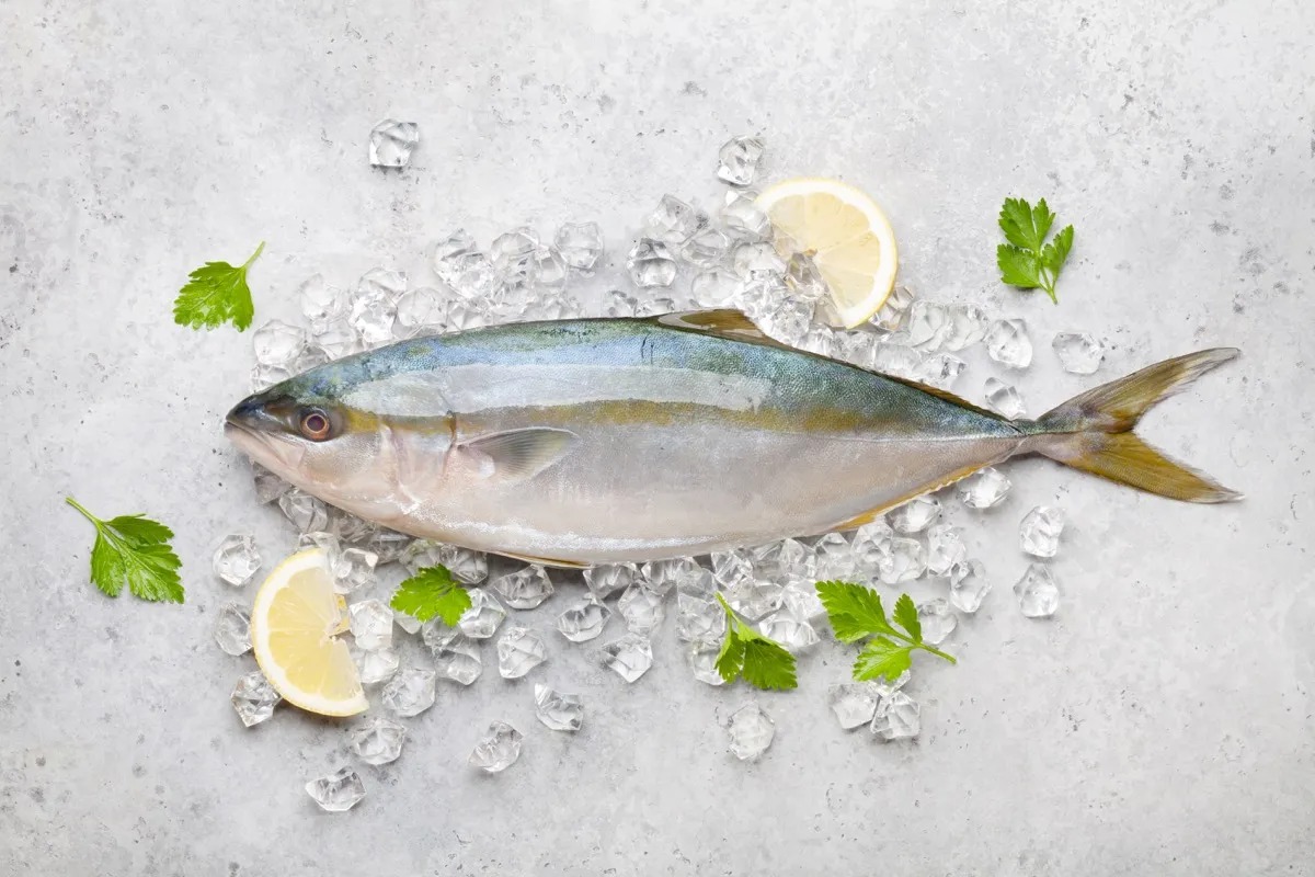 Fish